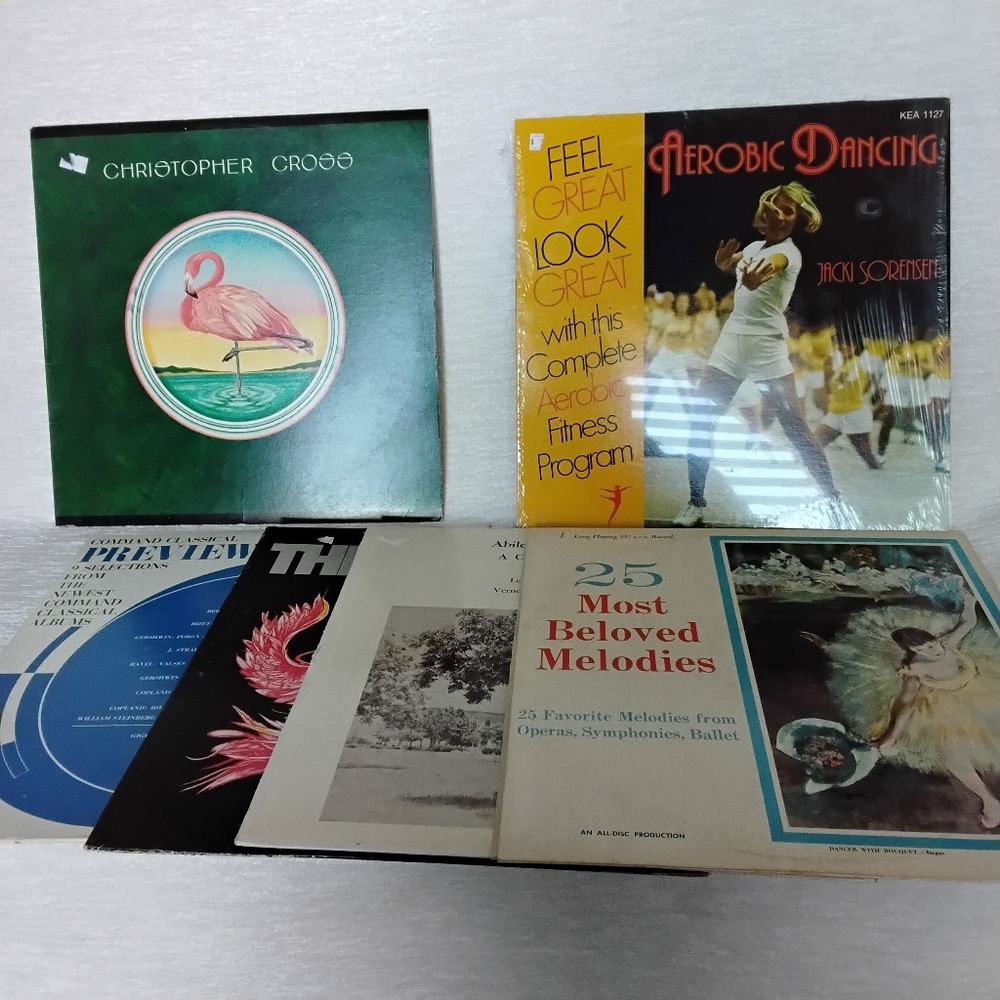 Vinyl Records Vtg (Lot Of 6)Discs Collection with Various Covers Artists